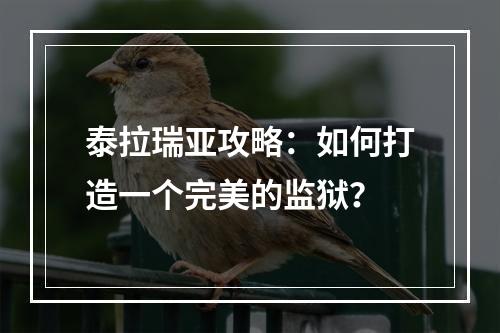 泰拉瑞亚攻略：如何打造一个完美的监狱？