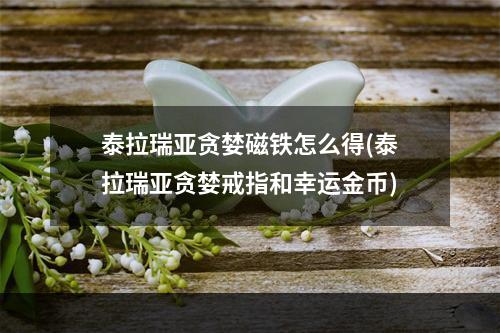 泰拉瑞亚贪婪磁铁怎么得(泰拉瑞亚贪婪戒指和幸运金币)