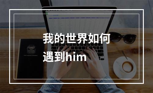 我的世界如何遇到him