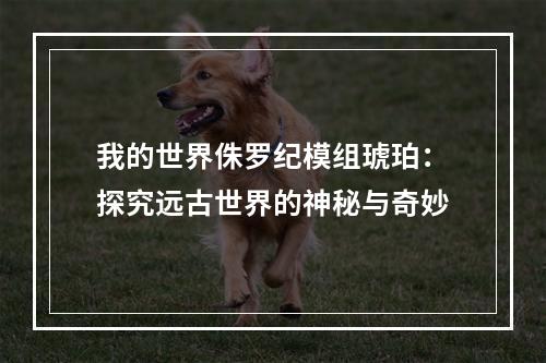 我的世界侏罗纪模组琥珀：探究远古世界的神秘与奇妙