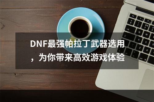 DNF最强帕拉丁武器选用，为你带来高效游戏体验