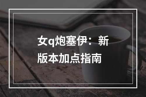 女q炮塞伊：新版本加点指南