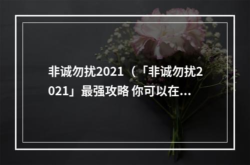 非诚勿扰2021（「非诚勿扰2021」最强攻略 你可以在节目里找到真爱！）