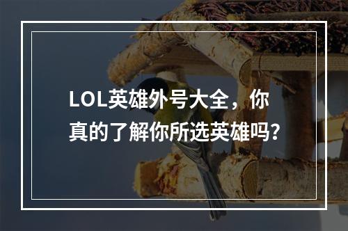 LOL英雄外号大全，你真的了解你所选英雄吗？