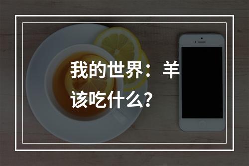 我的世界：羊该吃什么？