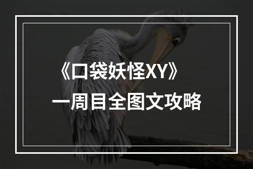 《口袋妖怪XY》一周目全图文攻略