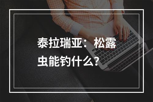 泰拉瑞亚：松露虫能钓什么？