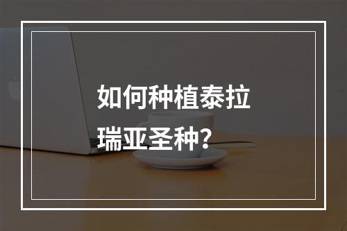 如何种植泰拉瑞亚圣种？