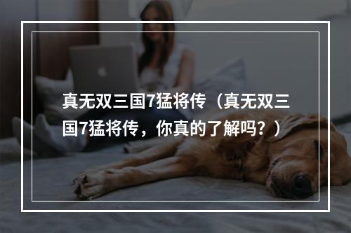 真无双三国7猛将传（真无双三国7猛将传，你真的了解吗？）