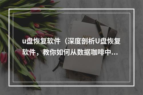 u盘恢复软件（深度剖析U盘恢复软件，教你如何从数据咖啡中找回宝藏！）