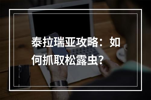 泰拉瑞亚攻略：如何抓取松露虫？