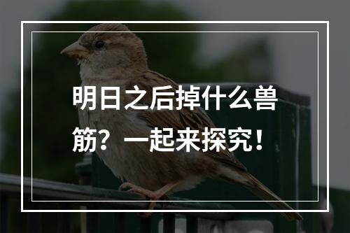 明日之后掉什么兽筋？一起来探究！