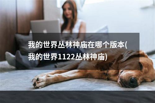 我的世界丛林神庙在哪个版本(我的世界1122丛林神庙)