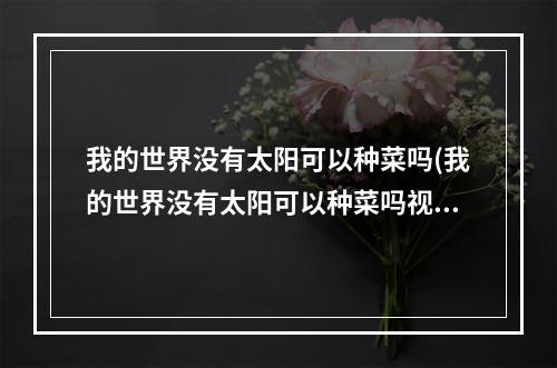 我的世界没有太阳可以种菜吗(我的世界没有太阳可以种菜吗视频)