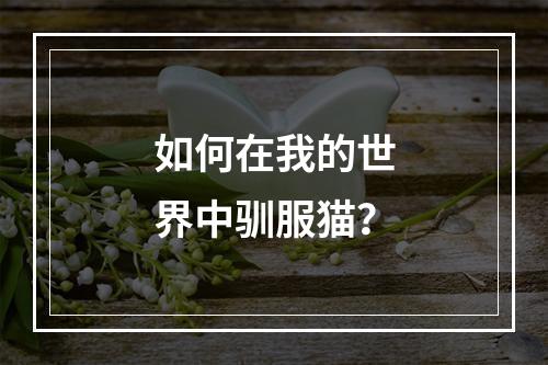 如何在我的世界中驯服猫？