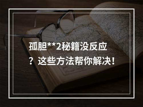 孤胆**2秘籍没反应？这些方法帮你解决！