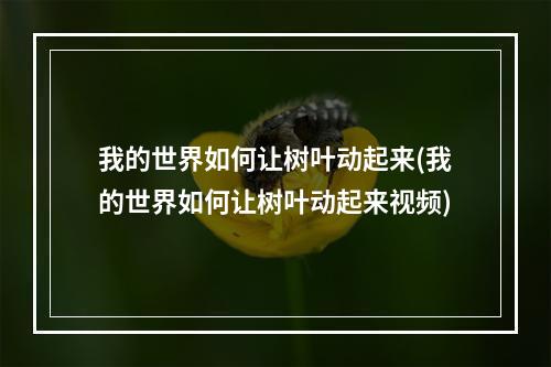 我的世界如何让树叶动起来(我的世界如何让树叶动起来视频)