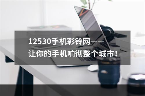 12530手机彩铃网——让你的手机响彻整个城市！