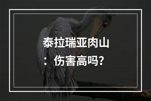 泰拉瑞亚肉山：伤害高吗？