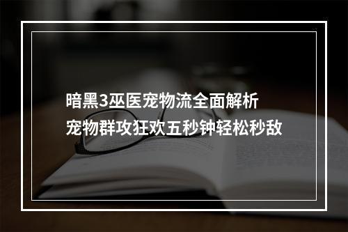 暗黑3巫医宠物流全面解析  宠物群攻狂欢五秒钟轻松秒敌