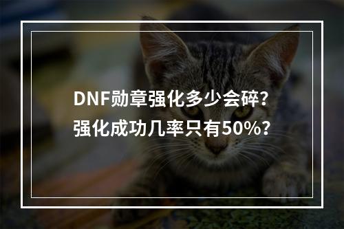 DNF勋章强化多少会碎？强化成功几率只有50%？