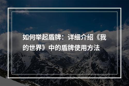 如何举起盾牌：详细介绍《我的世界》中的盾牌使用方法