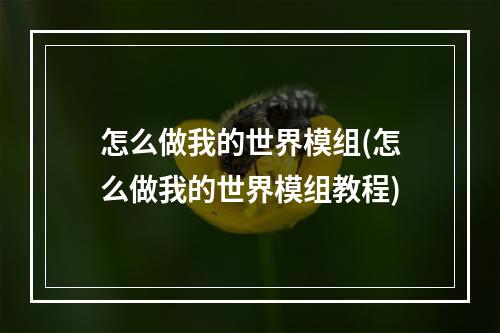 怎么做我的世界模组(怎么做我的世界模组教程)