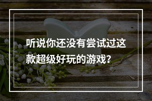 听说你还没有尝试过这款超级好玩的游戏？