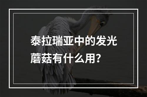 泰拉瑞亚中的发光蘑菇有什么用？