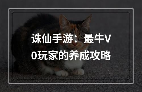 诛仙手游：最牛V0玩家的养成攻略