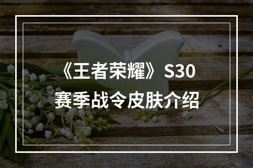 《王者荣耀》S30赛季战令皮肤介绍