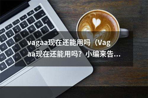 vagaa现在还能用吗（Vagaa现在还能用吗？小编来告诉你吧！）