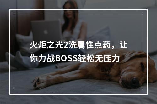 火炬之光2洗属性点药，让你力战BOSS轻松无压力