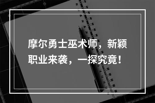 摩尔勇士巫术师，新颖职业来袭，一探究竟！