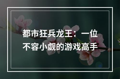 都市狂兵龙王：一位不容小觑的游戏高手