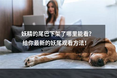 妖精的尾巴下架了哪里能看？  给你最新的妖尾观看方法！