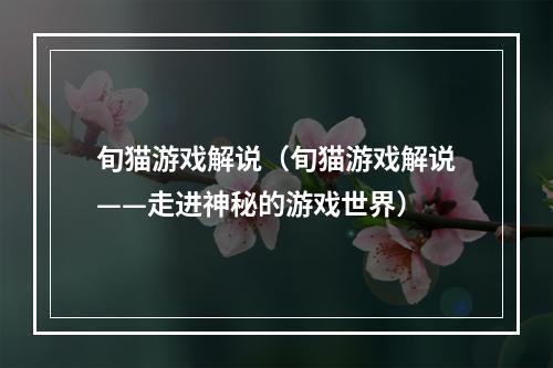 旬猫游戏解说（旬猫游戏解说——走进神秘的游戏世界）