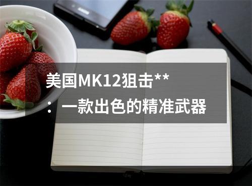 美国MK12狙击**：一款出色的精准武器