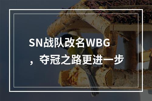 SN战队改名WBG，夺冠之路更进一步