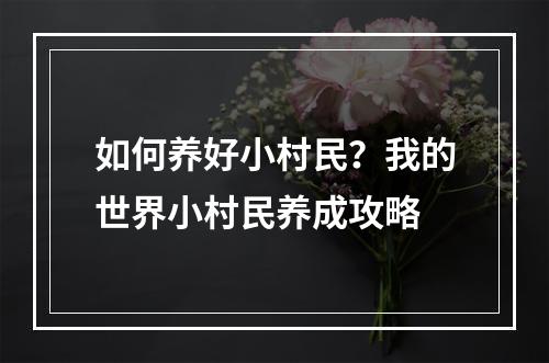 如何养好小村民？我的世界小村民养成攻略