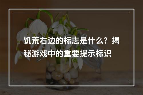 饥荒右边的标志是什么？揭秘游戏中的重要提示标识