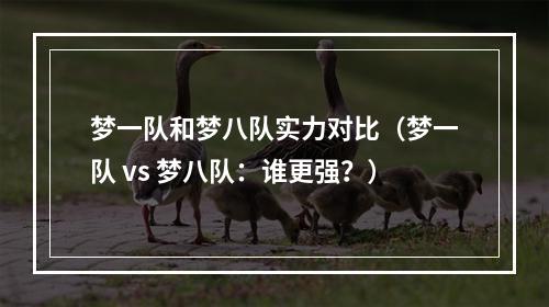 梦一队和梦八队实力对比（梦一队 vs 梦八队：谁更强？）