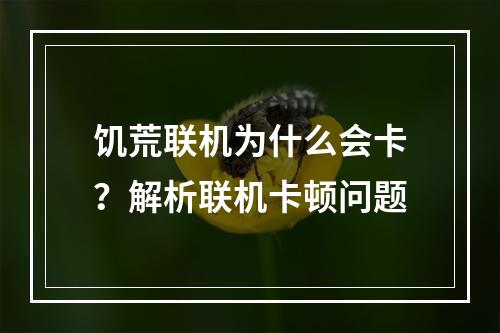 饥荒联机为什么会卡？解析联机卡顿问题