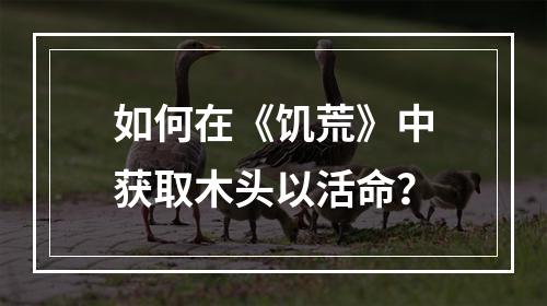 如何在《饥荒》中获取木头以活命？