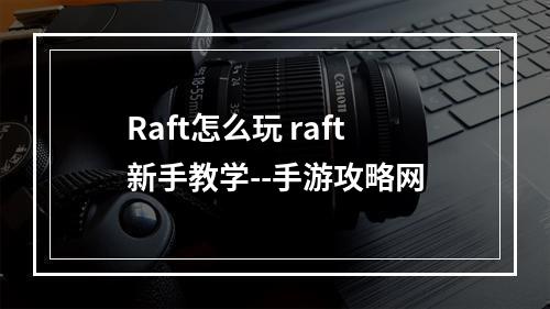 Raft怎么玩 raft新手教学--手游攻略网