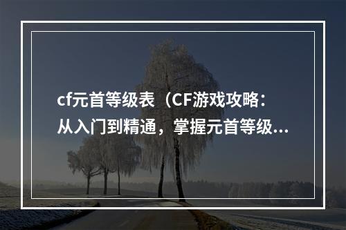 cf元首等级表（CF游戏攻略：从入门到精通，掌握元首等级表）