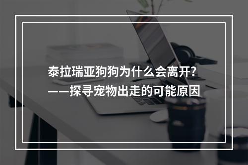 泰拉瑞亚狗狗为什么会离开？——探寻宠物出走的可能原因