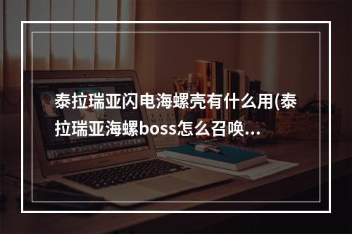 泰拉瑞亚闪电海螺壳有什么用(泰拉瑞亚海螺boss怎么召唤)