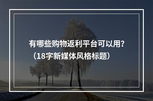 有哪些购物返利平台可以用？（18字新媒体风格标题）