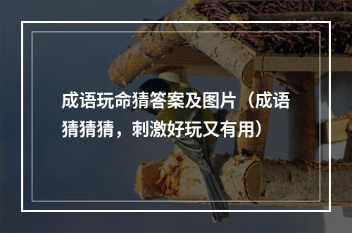 成语玩命猜答案及图片（成语猜猜猜，刺激好玩又有用）